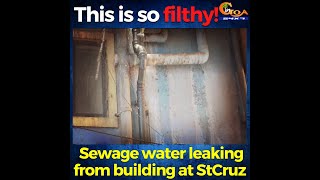 This is so filthy! Sewage water leaking from building at StCruz