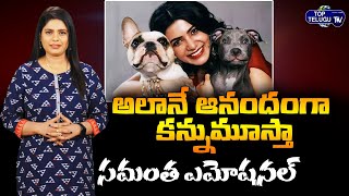 Samantha Responds To Fans Trolls | Samantha Emotional About Pets Latest | Top Telugu TV