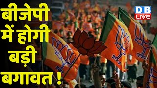 BJP में होगी बड़ी बगावत ! टिकट न मिलने से नाराज़ केंद्रीय मंत्री ! Prakash Javadekar | #DBLIVE