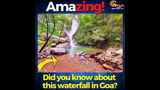 #Amazing! Did you know about this waterfall in Goa?