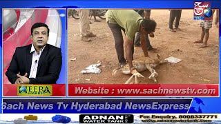 HYDERABAD NEWS EXPRESS | Aawara Kuton Ke Humle Mein 1 Hiran Halaak | SACH NEWS | 31-05-2022