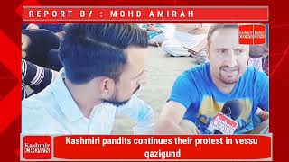 Kashmiri pandits continues their protest in vessu qazigund