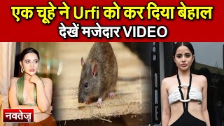 एक चूहे ने Urfi को कर दिया बेहाल, देखें मजेदार VIDEO