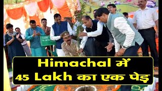 Himachal में 45 Lakh का एक पेड़