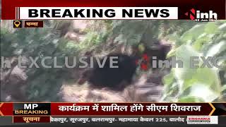 MP News || Panna में भालू के हमले से पति- पत्नी की मौत, खेर माता दर्शन करने के लिए पहुंचे थे दंपति