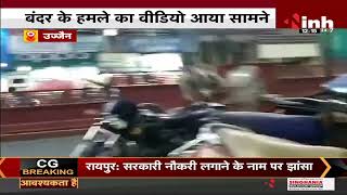 Madhya Pradesh News || Ujjain में बंदर का उत्पात, Video आया सामने