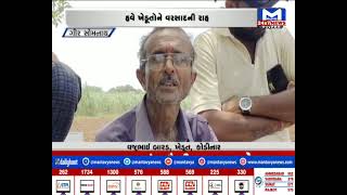 Girsomnath: ખેડૂતોએ મગફળીનું આગોતરું વાવેતર શરુ કર્યું | MantavyaNews