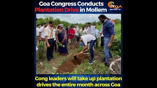 Goa Congress Conducts Plantation Drive in Mollem.