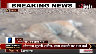 Madhya Pradesh News || Panna Tiger Reserve में बाघ की मौत, संदिग्ध अवस्था में मिला शव