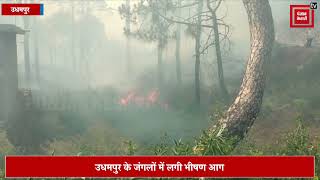 उधमपुर के जंगलों में लगी भीषण आग, स्थानीय लोगों और फायर ब्रिगेड की मदद के आग पर पाया गया काबू