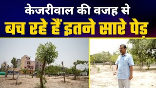 “वृक्ष प्रत्यारोपण नीति को देखने पहुंचे श्री Arvind Kejriwal जी | Delhi Model