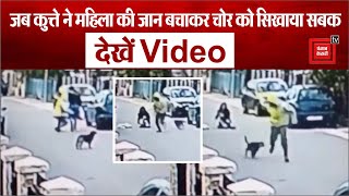 जब कुत्ते ने महिला की जान बचाकर चोर को सिखाया सबक, देखें Video