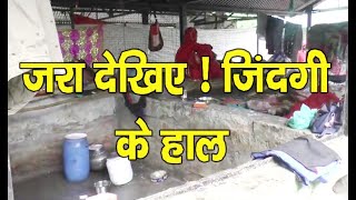 Condition| Garbage Pickers | Hamirpur |