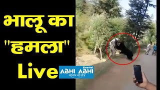 Bear Attacked | District Chamba | Himachal Pradesh |