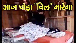 Horse Sleeping | During Winter | Viral Video | Bitter Cold |