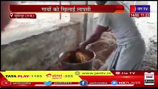 Sumerpur (Raj) News | ज्येष्ठ पूर्णिमा पर दान पुण्य, गायो को खिलाई लापसी | JAN TV