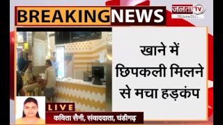 Chandigarh: सागर रत्ना Restaurant के खाने में मिली छिपकली, ग्राहक ने पुलिस को दी सूचना