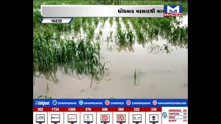 Patan : સિદ્વપુર સહિત તાલુકામાં વરસાદ | MantavyaNews