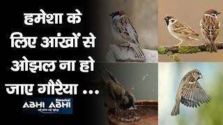 World Sparrow Day | Save Gauriya |