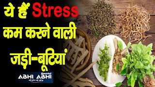 Top Herbs | Reduce Stress | Safe and Elevates |