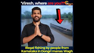 'Viresh Borkar, what are you doing!?' Illegal fishing by people from Karnataka in Dongri manas: Wagh