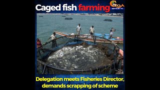 Why caged fish farming in Goa, asks traditional fishermen.