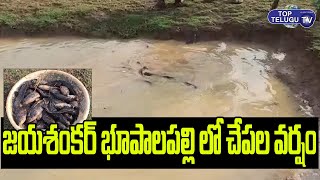 Fish Rain In Jayashankar Bhupalpally District | Heavy Rains In Telangana | Rain Fall | Top Telugu TV
