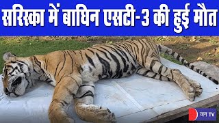 Sariska Tiger Reserve | सरिस्का में दुखद खबर आई सामने, मृत मिली बाघिन ST-3, कुछ दिनों से थी बीमार