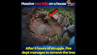 Massive tree falls on a house at Shiroda! After 8 hours of struggle, Fire dept manages to remove it