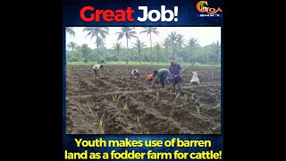 #GreatJob! Youth makes use of barren land as a fodder farm for cattle!