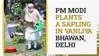 PM Modi Plants A Sapling In Vanijya Bhawan, Delhi l PMO