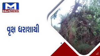 Rajkot: ગોંડલથી કોલીથડ જતા માર્ગ પર વૃક્ષ ધરાશાયી| MantavyaNews