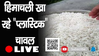 हिमाचली खा रहे  "प्लास्टिक" चावल | Plastic Rice | Ration Depot | Himachal |