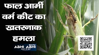 Fall Army Worm | Himachal | Attack |
