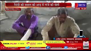 Jhalawar News | भिंडी की फसल की आड़ में गांजे की खेती, 2 आरोपियों को किया गिरफ्तार | JAN TV