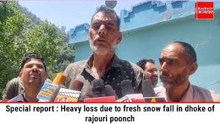 Special report *Heavy loss due to fresh snow fall in dhoke of rajouri poonch*