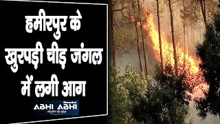 हमीरपुर के खुरपड़ी चीड़ जंगल में लगी आग | Pine forest/Hamirpur/Fire |