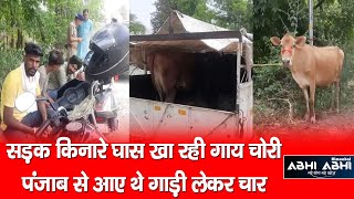 Cow theft/ Bilaspur/ Punjab