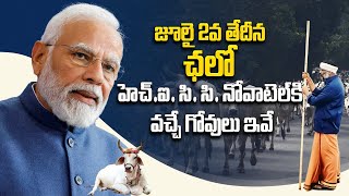 చలో హెచ్ ఐ సి సి | PM Narendra Modi Telangana Tour |Modi Hyderabad Tour |Protect Cows |Top Telugu TV