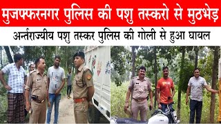 मुजफ्फरनगर की नई मण्डी कोतवाली पुलिस ने पकडा पशु तस्कर