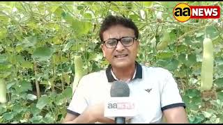 दिल्ली में ऑर्गेनिक खेती v/s रासायनिक खेती #aa_news @AA News , Pappan Singh Gahlot farmer
