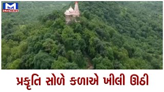 Gir somnath : તુલસીશ્યામ જંગલનો વરસાદી માહોલ | MantavyaNews