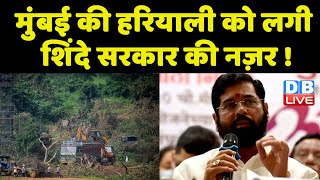 Mumbai की हरियाली को लगी Shinde Sarkar की नज़र ! सत्ता की लड़ाई अब पर्यावरण बचाओ पर आई | #DBLIVE
