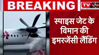 BREAKING NEWS : Jabalpur bound SpiceJet flight returns to Delhi after smoke detected in cabin | TV24