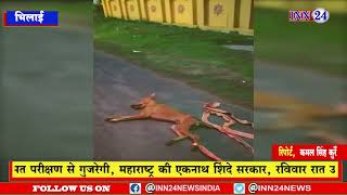 Durg__भिलाई 2 युवक ने बाइक से कुत्ते के पैर को बांधकर  बाइक से घसीटा ले जा रहा है.......देखे वीडियो