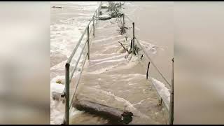 Temporary bridge in Sattari-Paikul washed away! The same bridge had washed away during last year