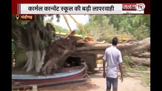 Chandigarh School Accident | चंडीगढ़ के स्कूल में पेड़ गिरने से 1 मासूम की मौत, कई घायल