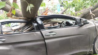 दिल्ली: तेज आंधी के चलते गिरा बड़ा पेड़, चपेट में आईं चलती हुई 6 गाड़ियां
