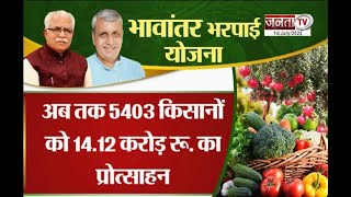 Haryana: बागवानी योजना से बढ़ी रही किसानों की आय, परंपरागत खेती छोड़ जैविक की ओर जा रहे किसान