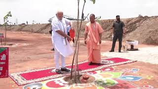 PM Modi plants a Sapling at Bundelkhand Expressway Jalaun, Uttar Pradesh |PMO